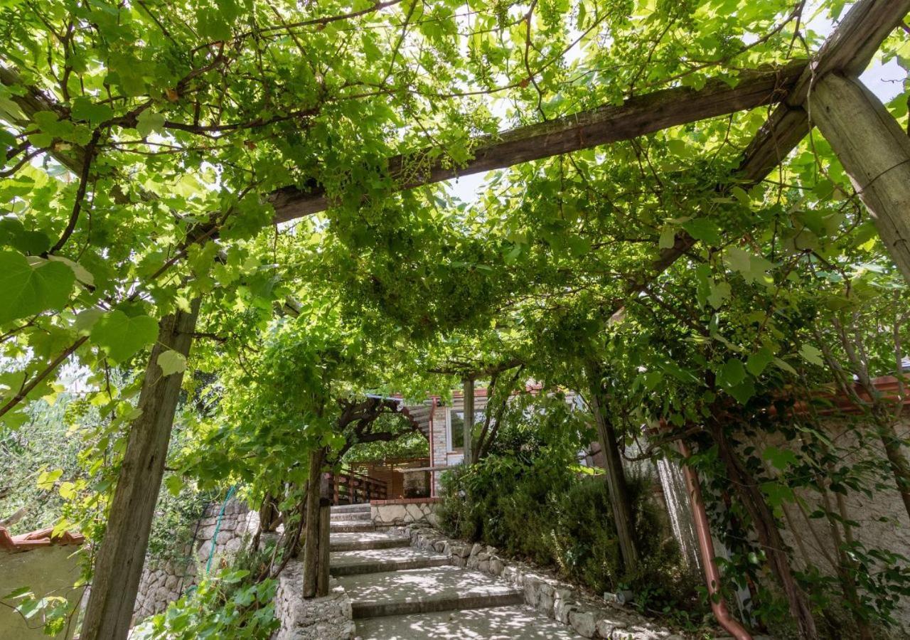 Agriturismo La Vammora Laviano Dış mekan fotoğraf